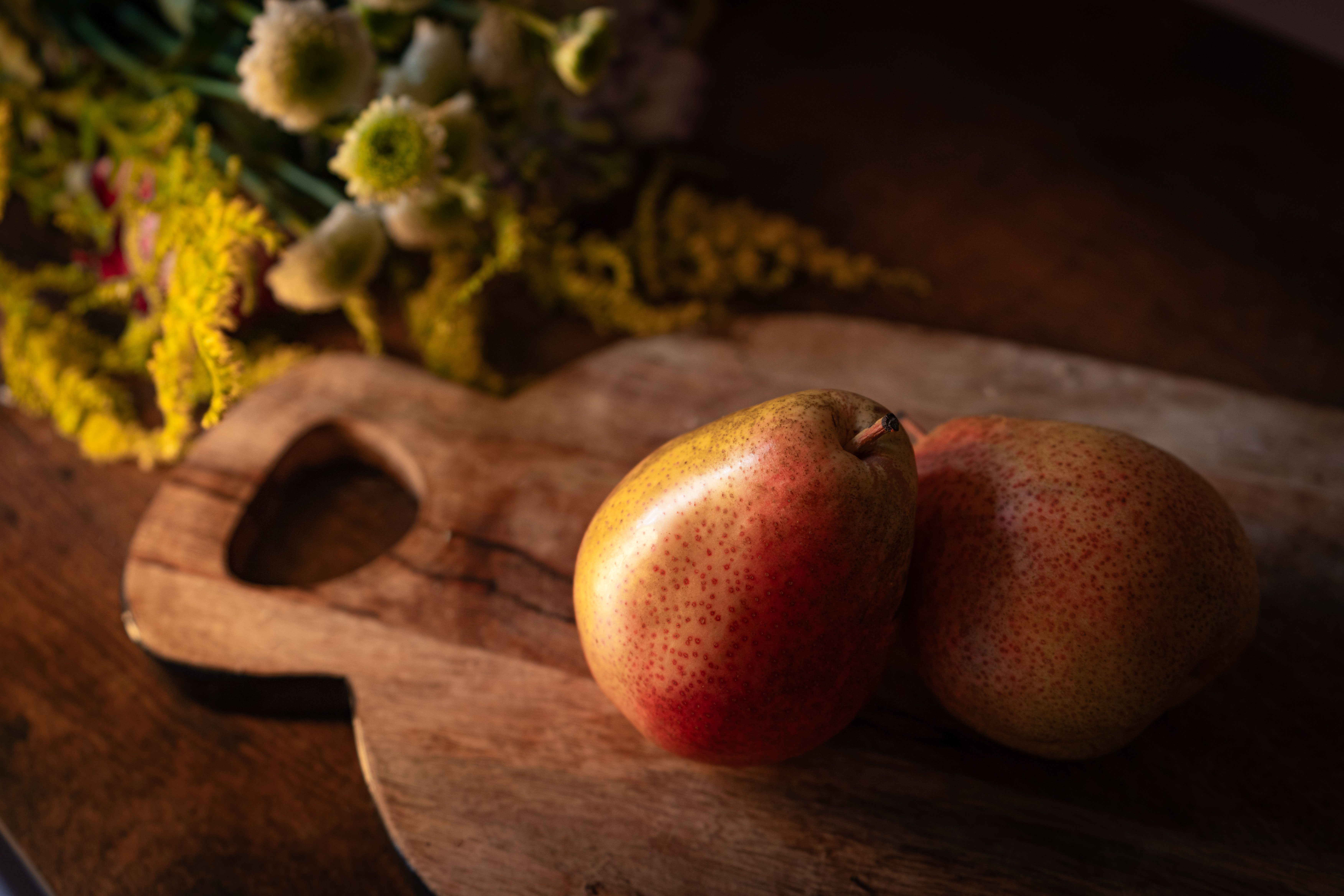 Food Photography